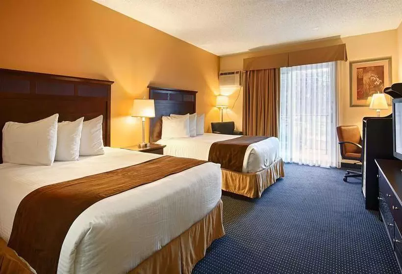 Отель The Avenue