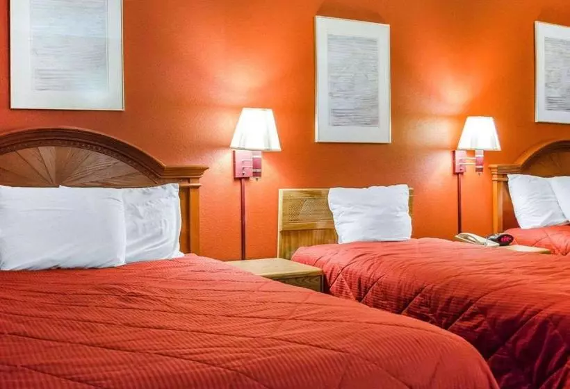 ホテル Rodeway Inn