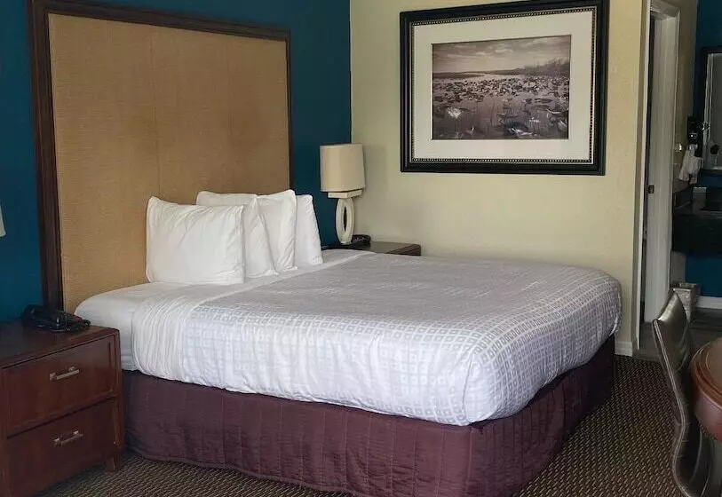 ホテル Red Roof Inn Kissimmee