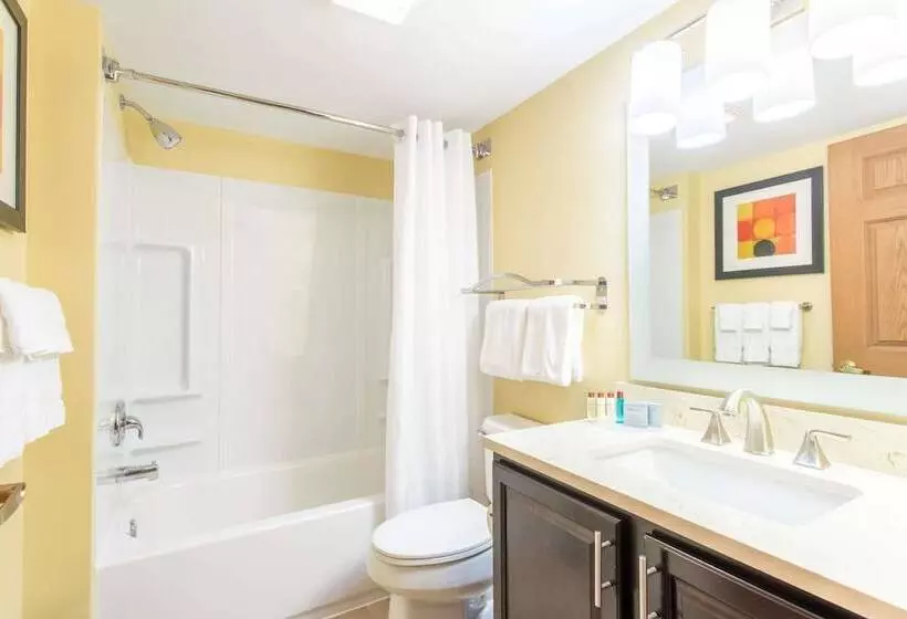 Отель Dulles Suites