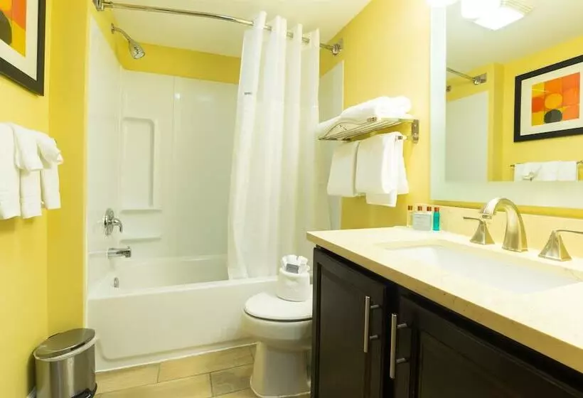 Отель Dulles Suites