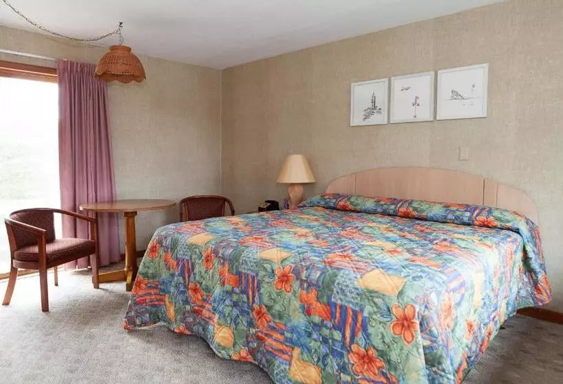 ホテル Town & Country Motor Inn