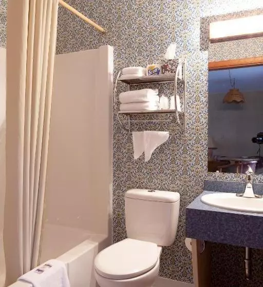 ホテル Town & Country Motor Inn