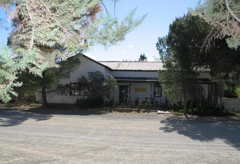 ユースホステル The Owlhouse Backpackers