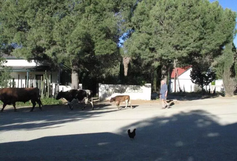 Retkeilymaja The Owlhouse Backpackers