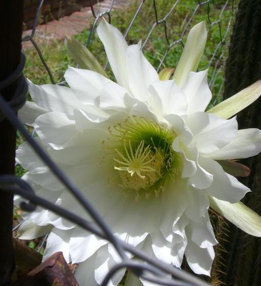 ユースホステル The Owlhouse Backpackers