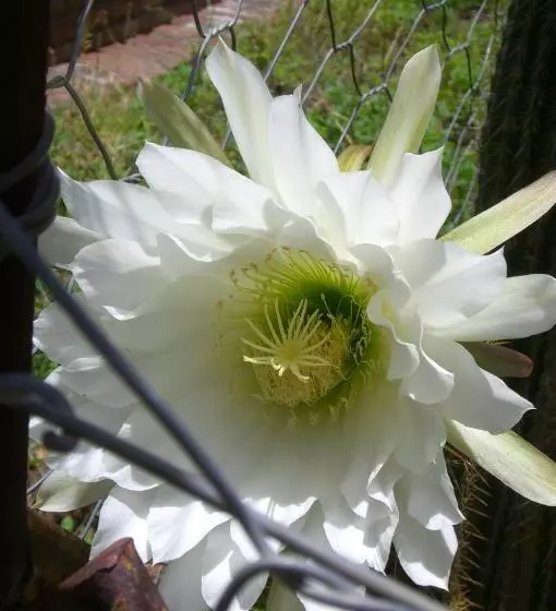 Retkeilymaja The Owlhouse Backpackers