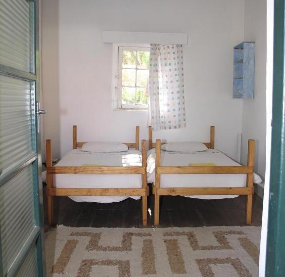 ユースホステル The Owlhouse Backpackers