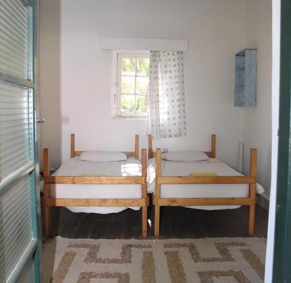 ユースホステル The Owlhouse Backpackers