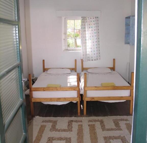 ユースホステル The Owlhouse Backpackers