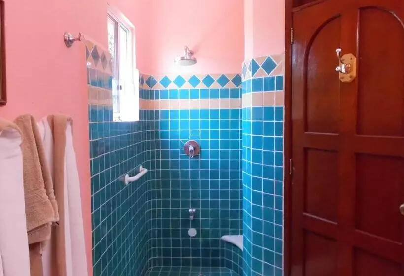 Casa Gatos