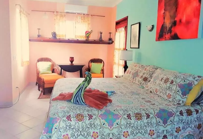 Casa Gatos