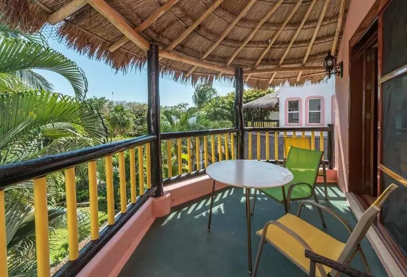 Casa Gatos