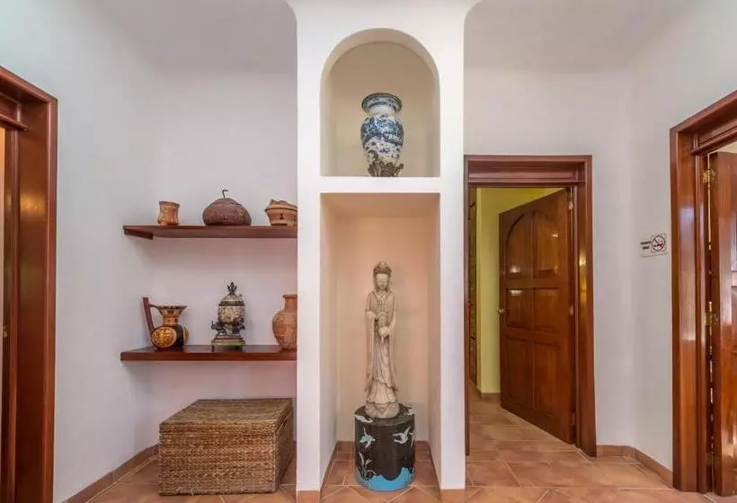 Casa Gatos