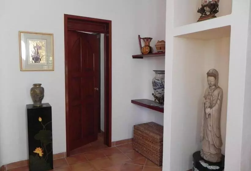 Casa Gatos
