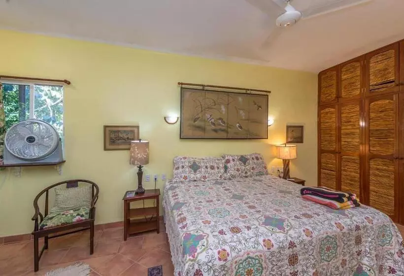 Casa Gatos