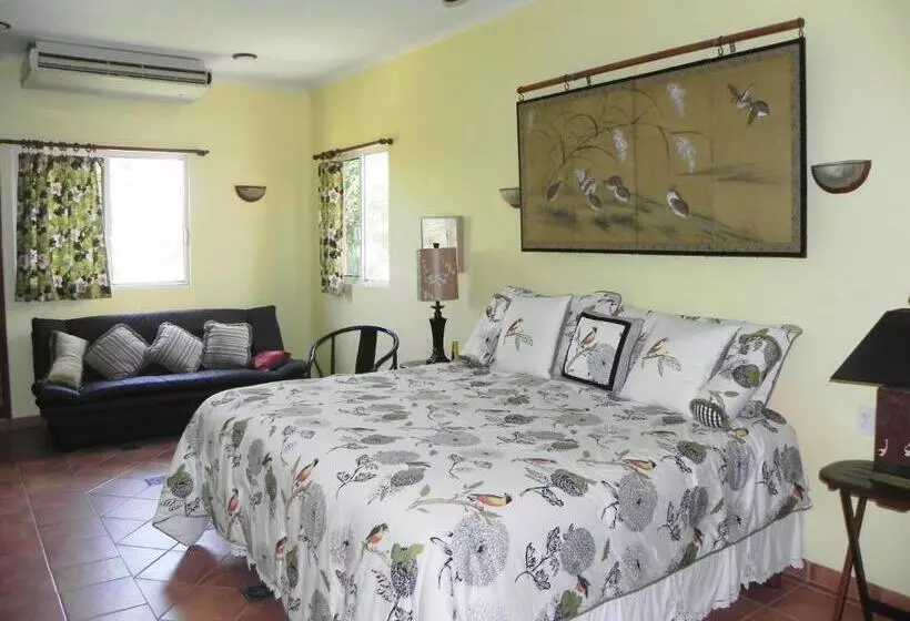 Casa Gatos