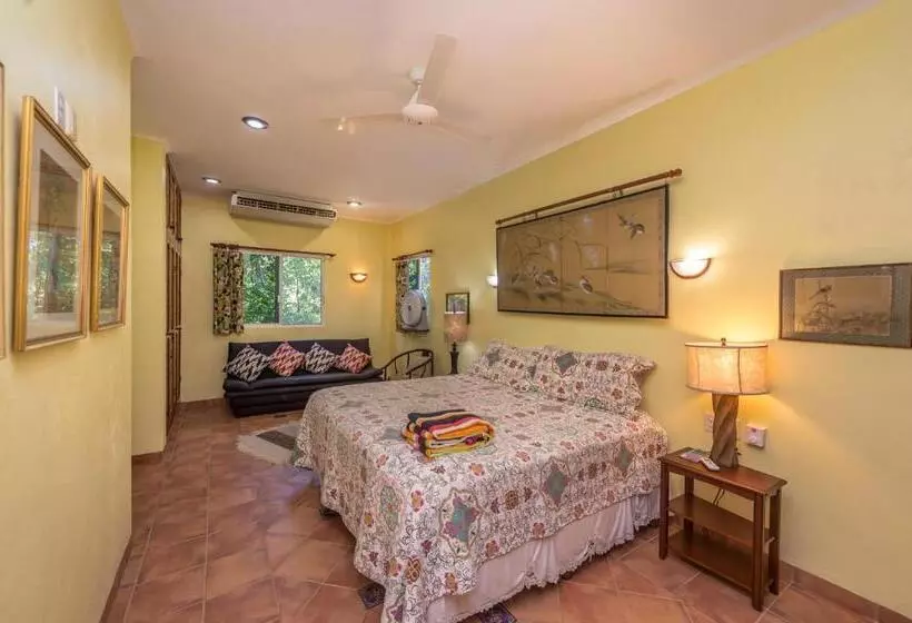 Casa Gatos