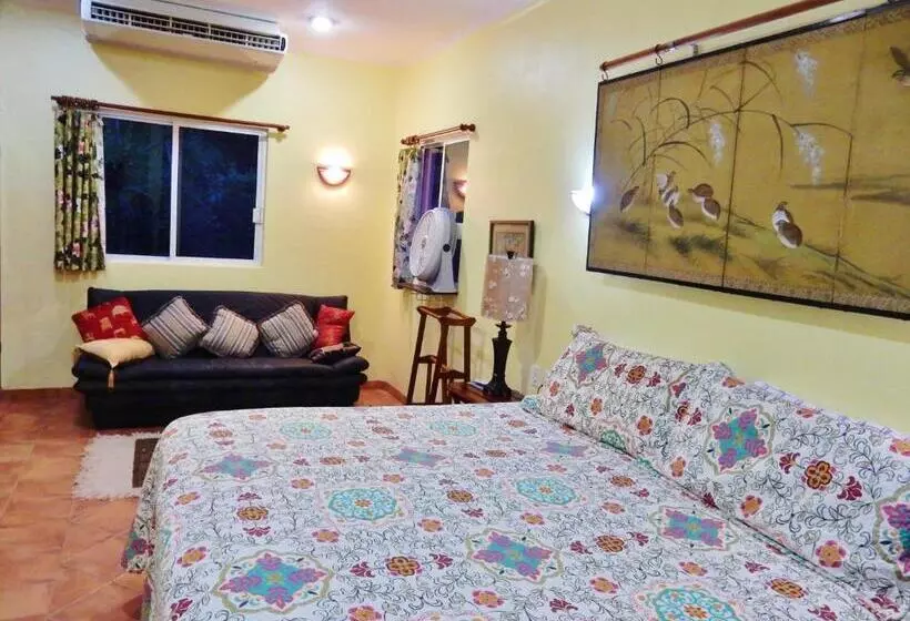 Casa Gatos