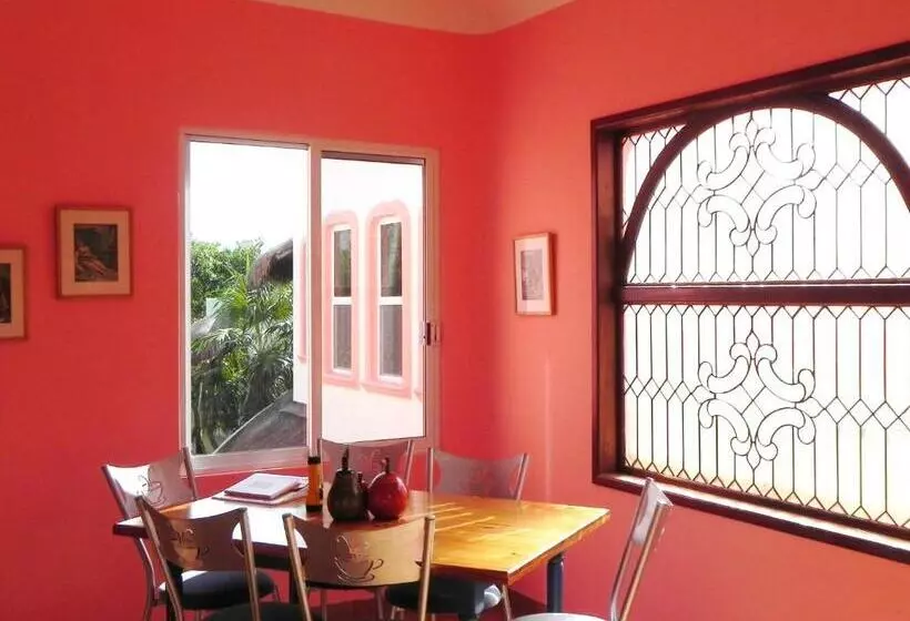 Casa Gatos