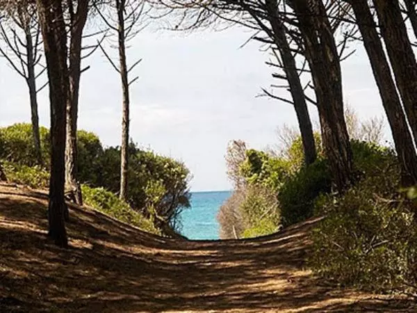 Majatalo Affittacamere A Due Passi Dal Mare