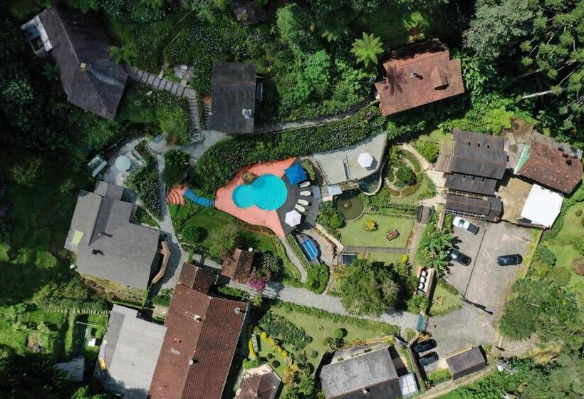 بنسيون Verde Que Te Quero Ver Te   Chalés