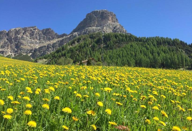 Residence Ciasa Dl Mone