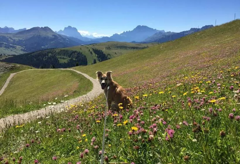 Residence Ciasa Dl Mone