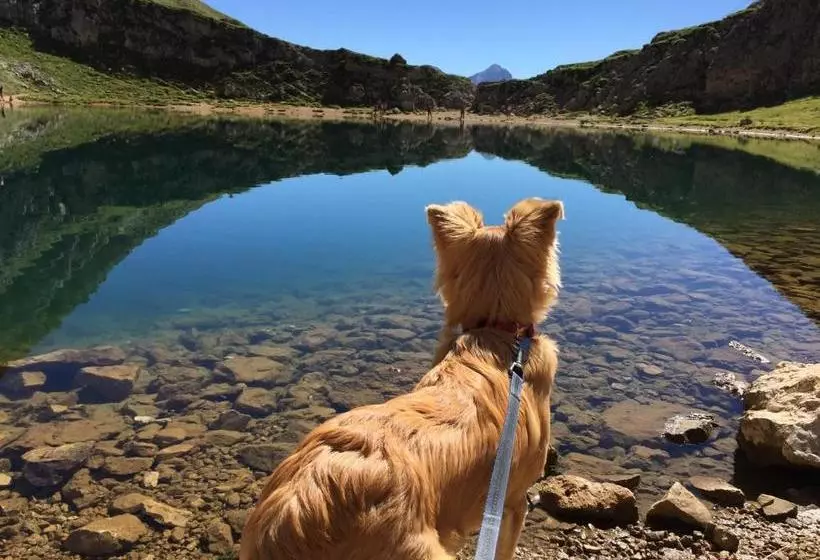 Residence Ciasa Dl Mone