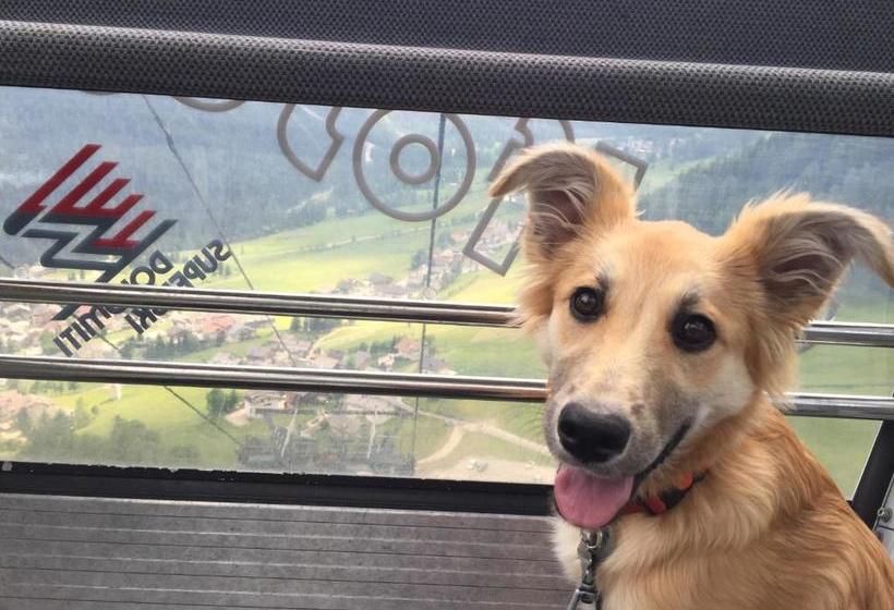 Residence Ciasa Dl Mone