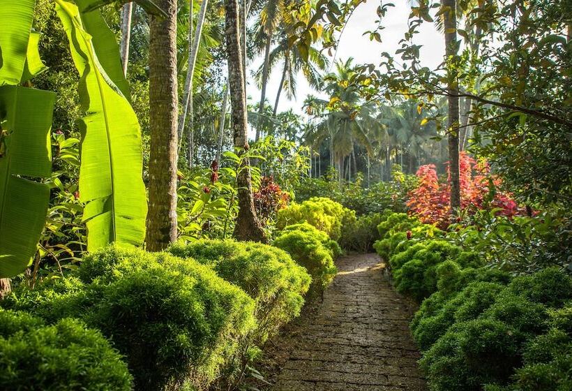 استراحتگاه Kahani Paradise