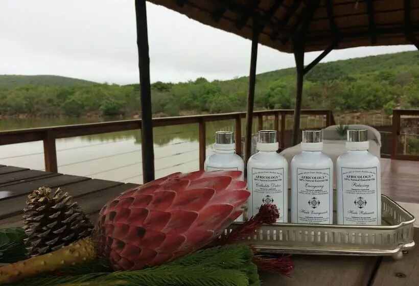 ホテル Molapo Safari’s