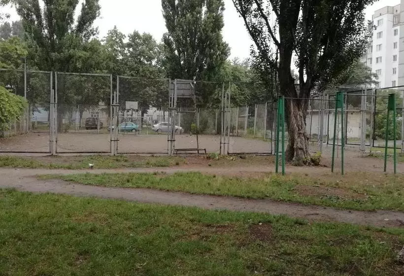 Hostel от рассвета до заката