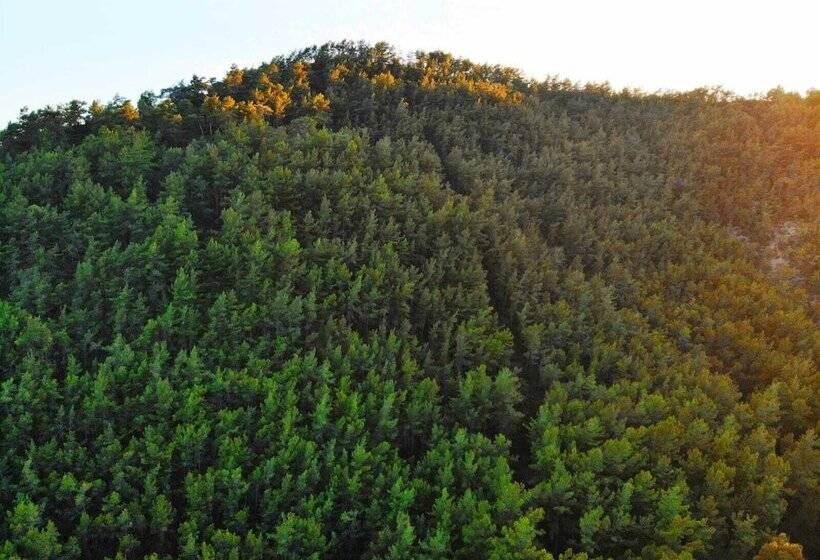 Bucak Apart Hotel Göcek & Beach