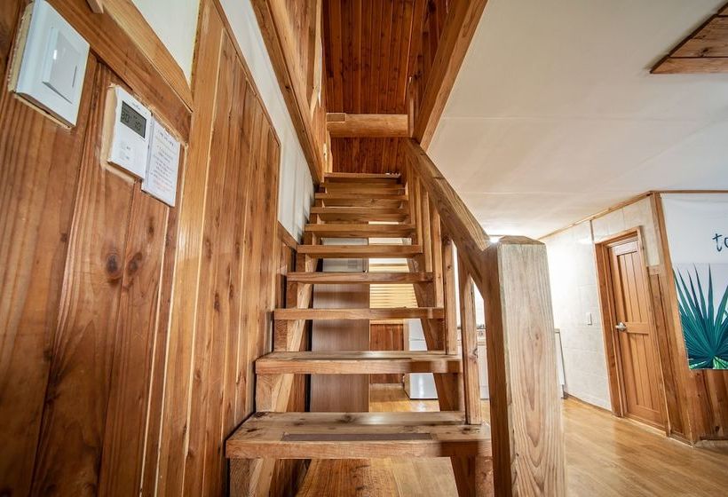 Jeju Seogwipo Log House Pension