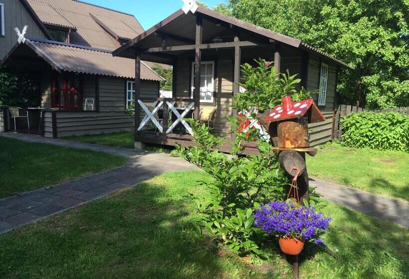 پانسیون Poilsiavietė Vita