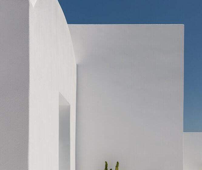 White Ark Adults Only