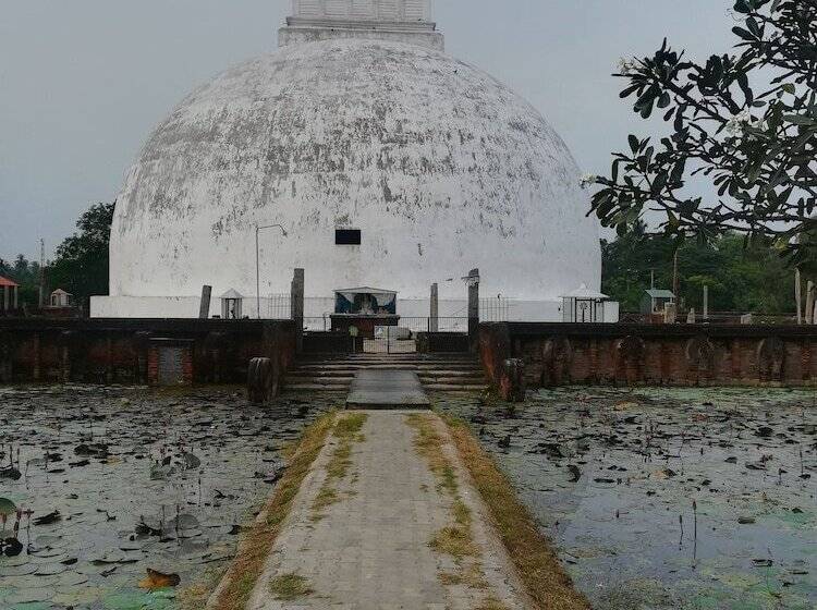 Отель Wild Eco Safari