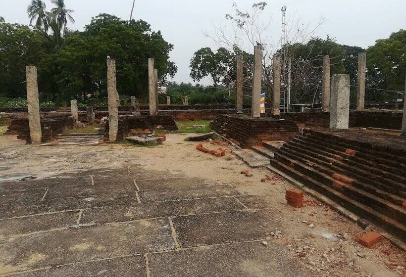 Отель Wild Eco Safari