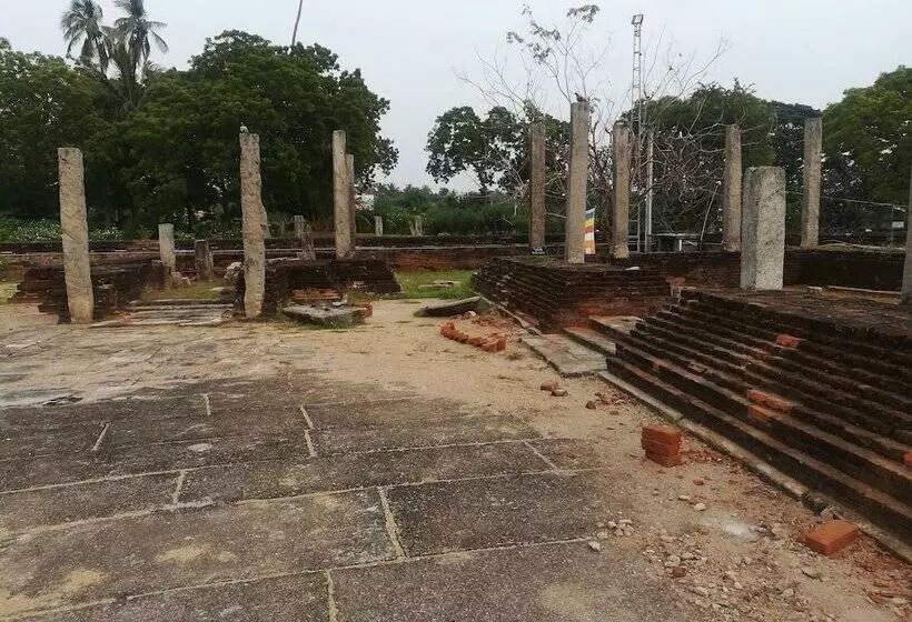 Hotelli Wild Eco Safari