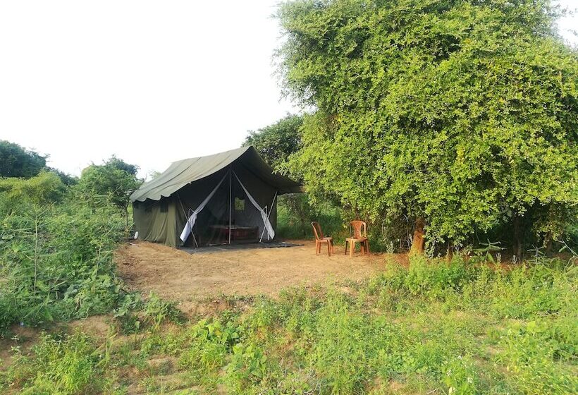 Отель Wild Eco Safari