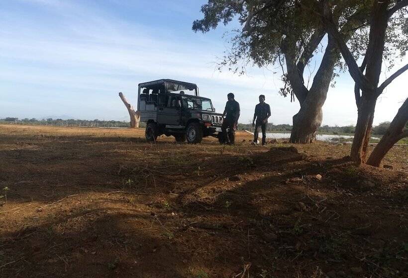 Отель Wild Eco Safari