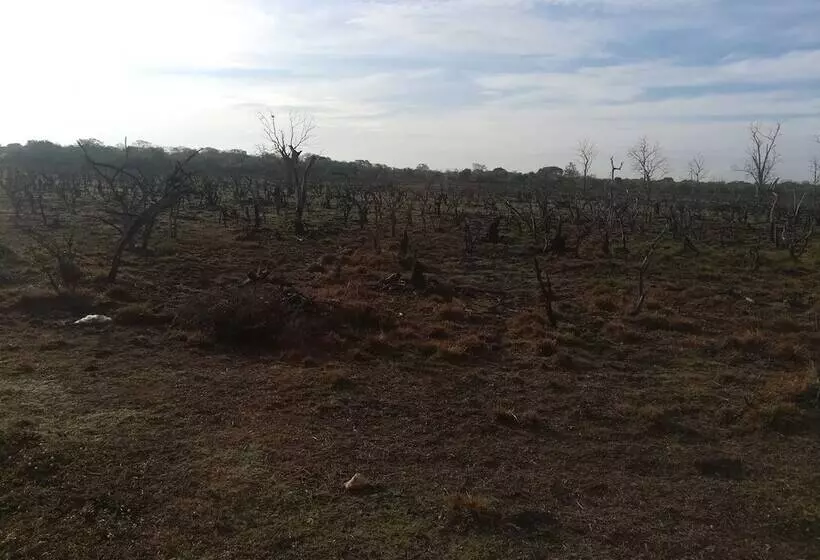 Hotelli Wild Eco Safari