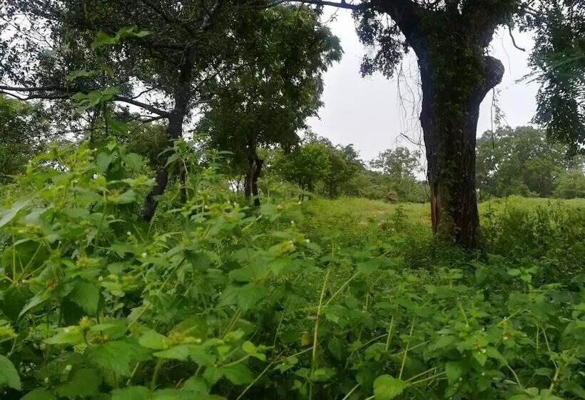 Hotelli Wild Eco Safari