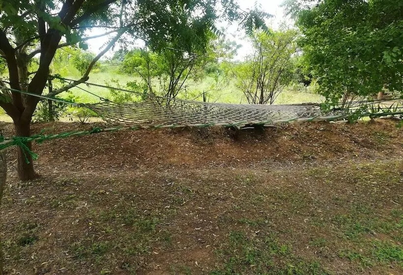 Hotelli Wild Eco Safari