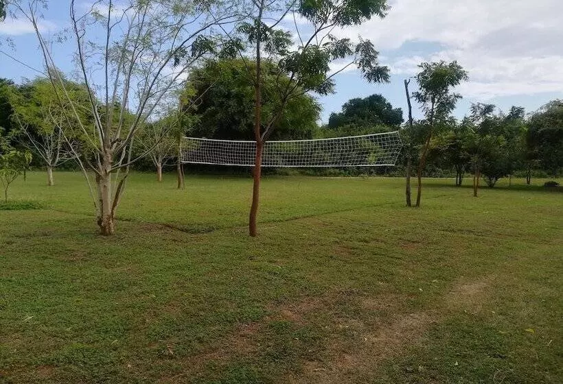 Hotelli Wild Eco Safari