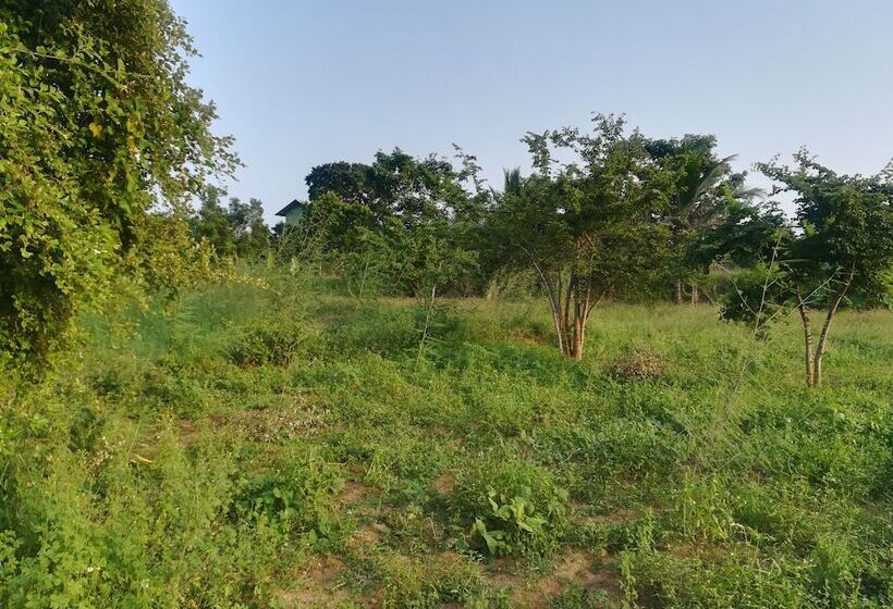 Отель Wild Eco Safari