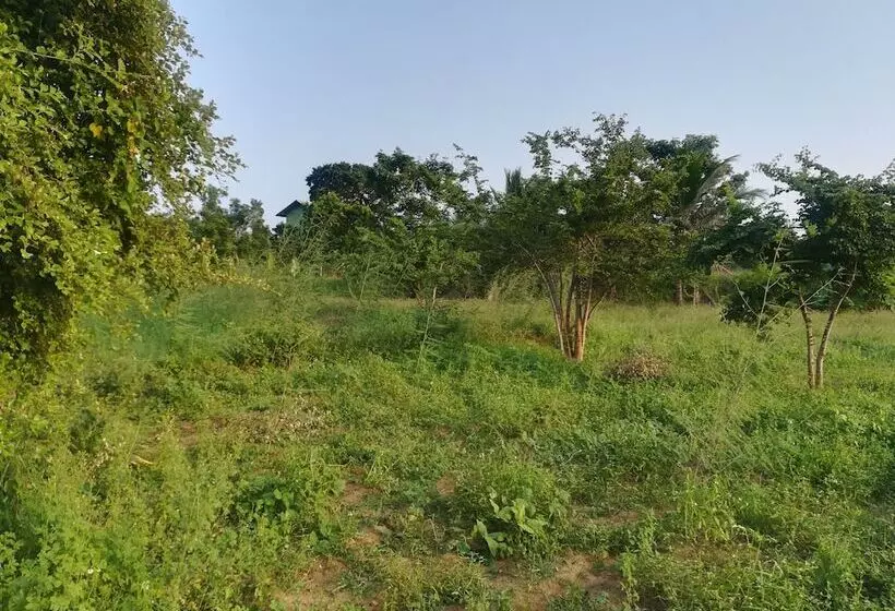 Hotelli Wild Eco Safari