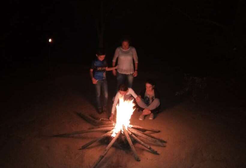 Отель Wild Eco Safari