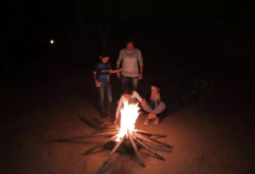 Hotelli Wild Eco Safari